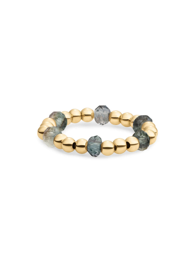 Sparkling Jewels Kralen Ring Facet Roundel Labradorite SRI-G-RDL-G18