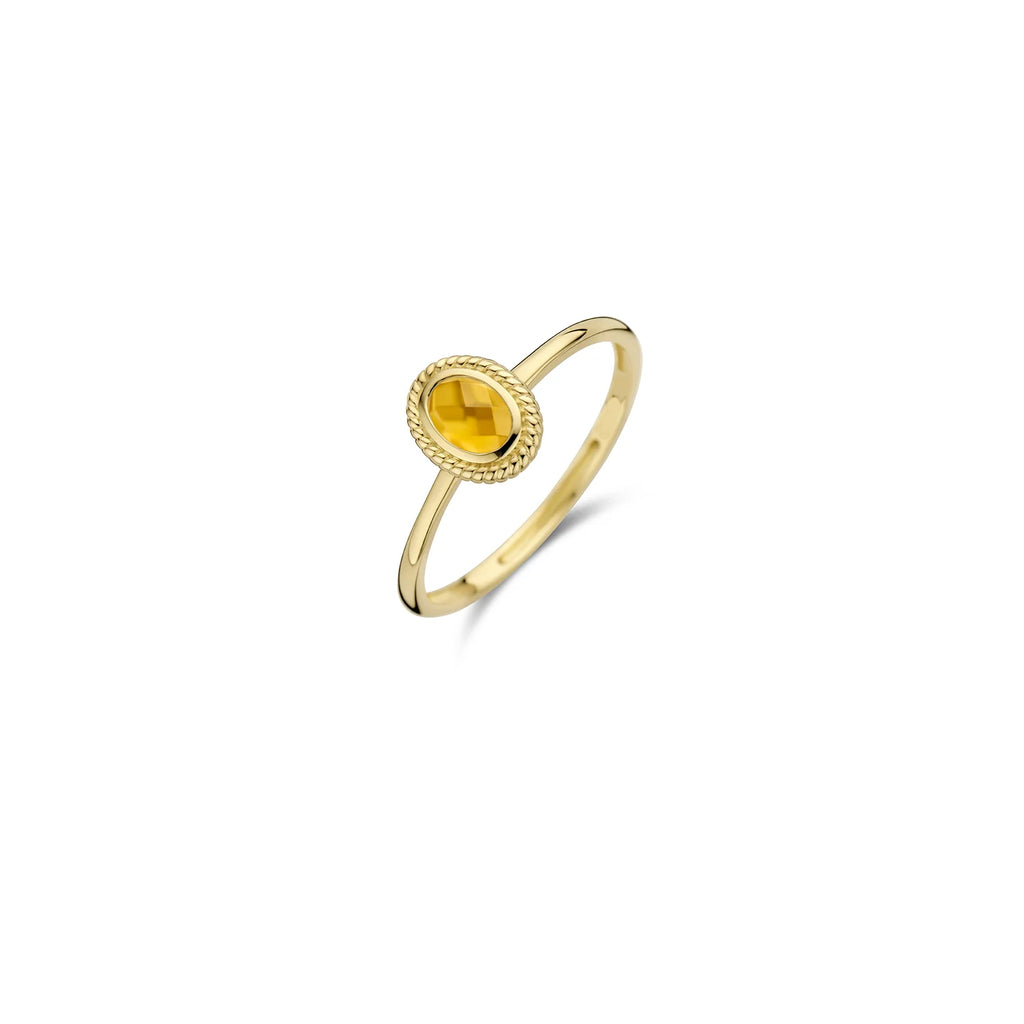 Blush Jewels 14 karaat geel gouden ring 1239YMC