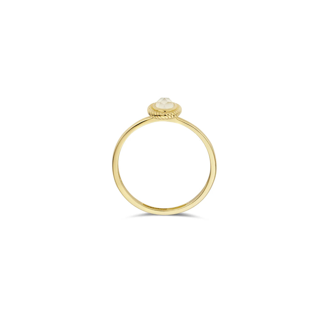 Blush Jewels 14 karaat geel gouden ring 1239YMQ
