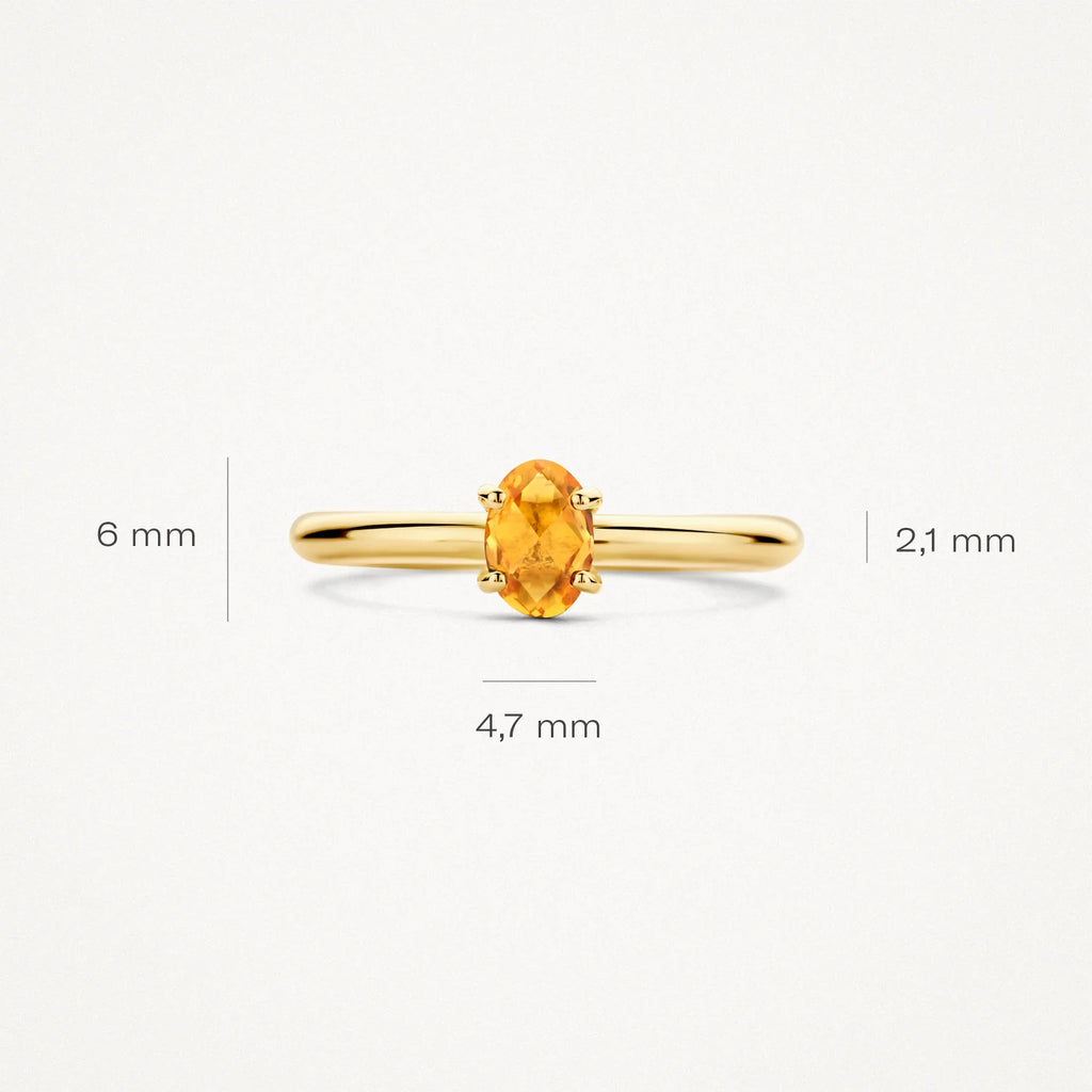 Blush Jewels 14 karaat geel gouden ring 1242YCI
