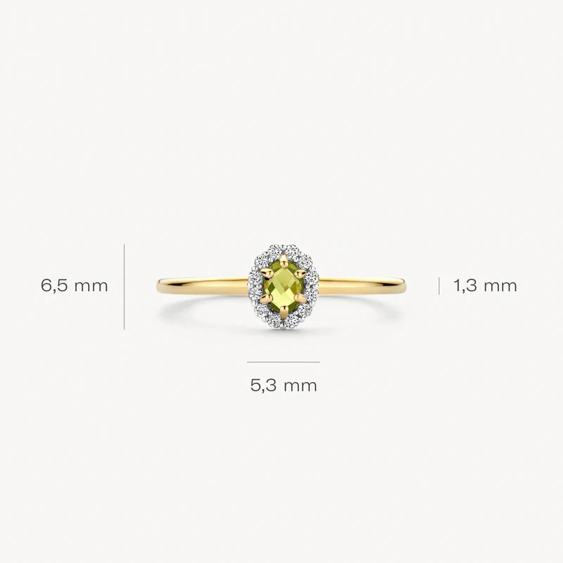 Blush Jewels 14 karaat bicolor gouden ring 1258YGP