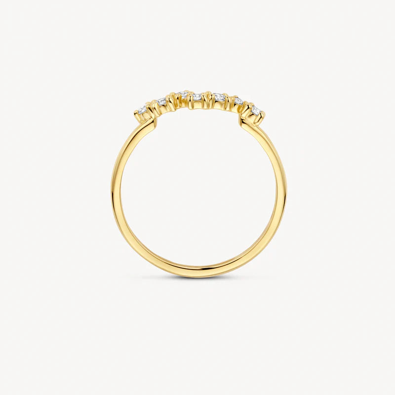 Blush Jewels 14 Karaat Gouden Ring 1267YZI
