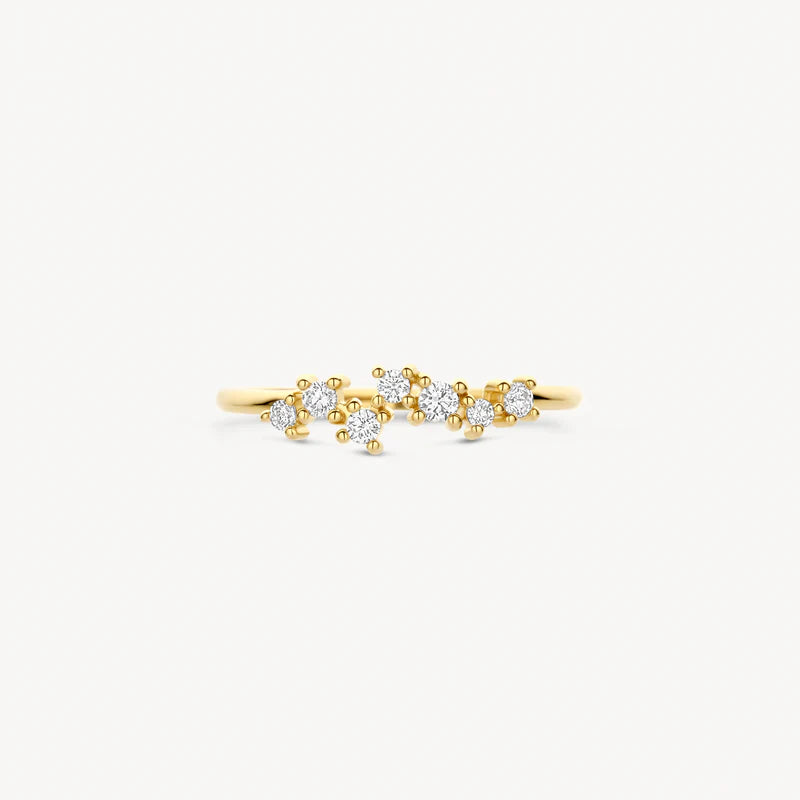 Blush Jewels 14 Karaat Gouden Ring 1267YZI