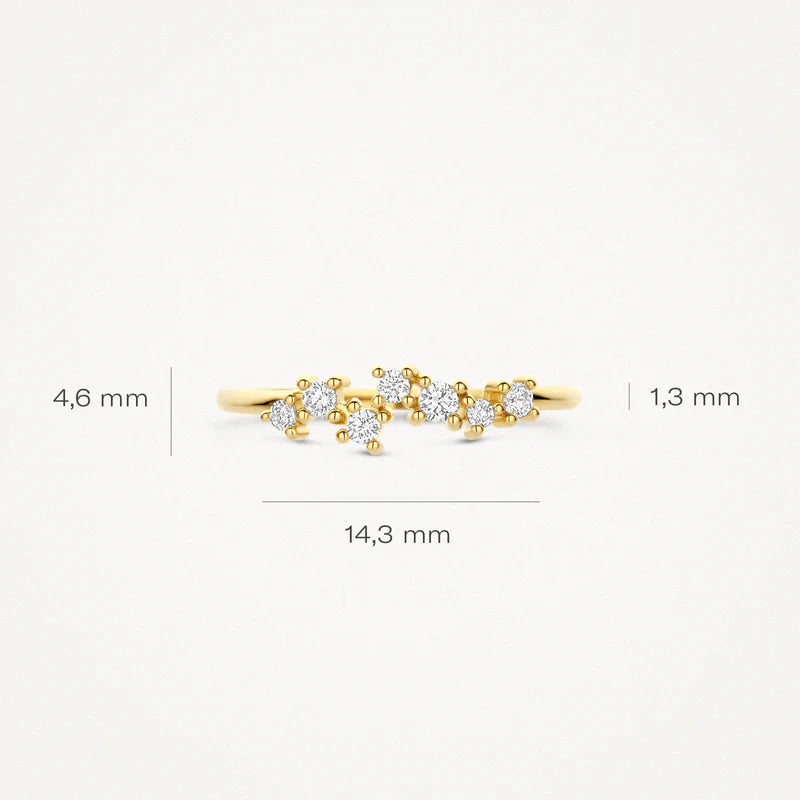 Blush Jewels 14 Karaat Gouden Ring 1267YZI