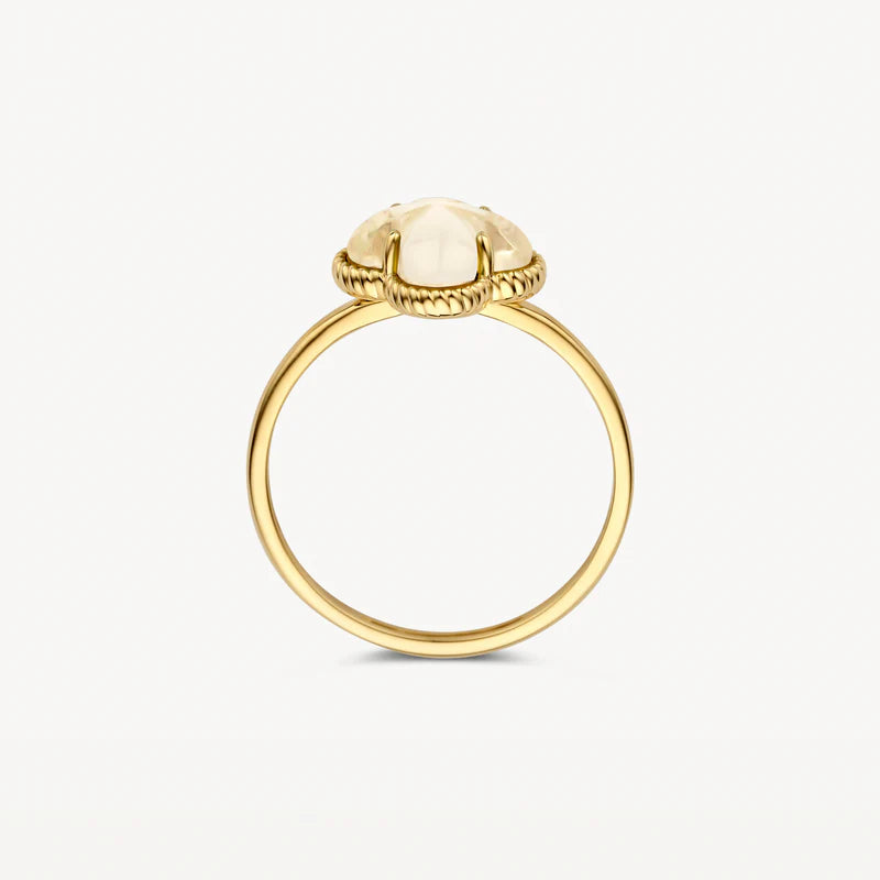 Blush Jewels 14 Karaat Gouden Ring 1269YMQ