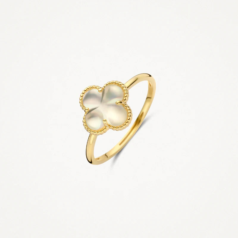 Blush Jewels 14 Karaat Gouden Ring 1269YMQ