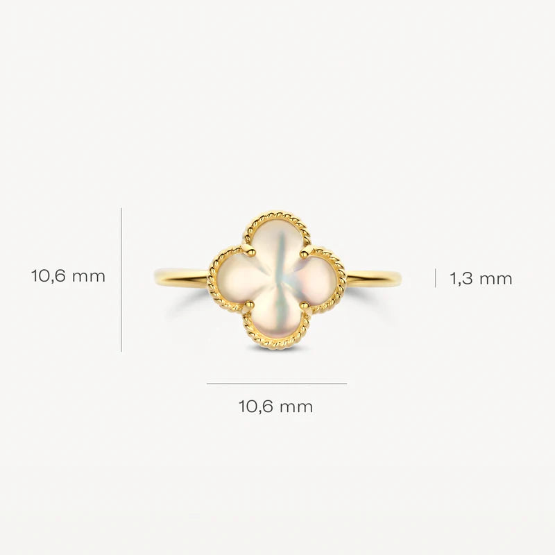 Blush Jewels 14 Karaat Gouden Ring 1269YMQ