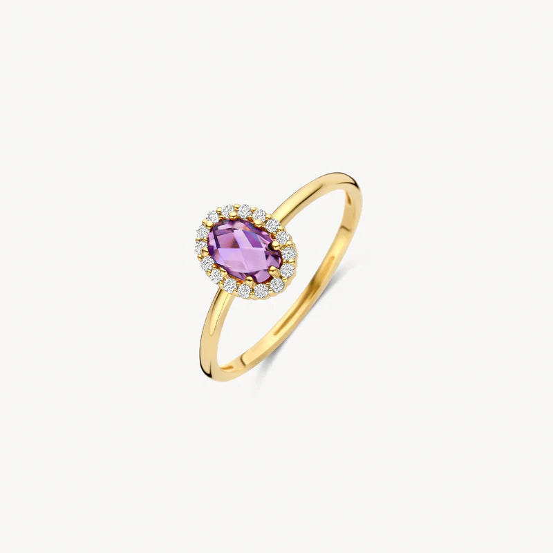 Blush Jewels 14 Karaat Gouden Ring 1271YAM