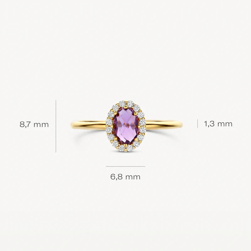 Blush Jewels 14 Karaat Gouden Ring 1271YAM