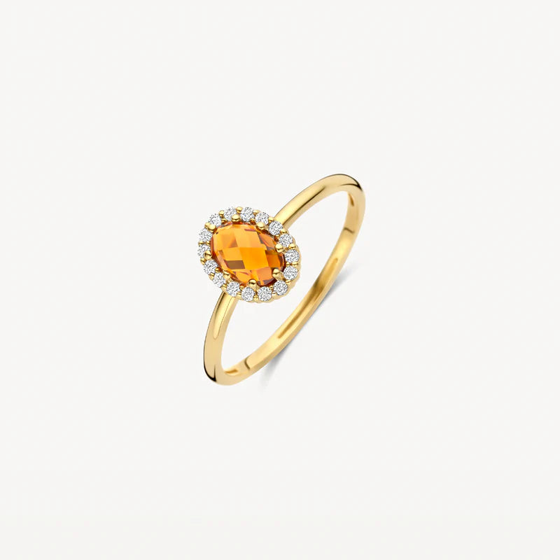 Blush Jewels 14 Karaat Gouden Ring 1271YCI