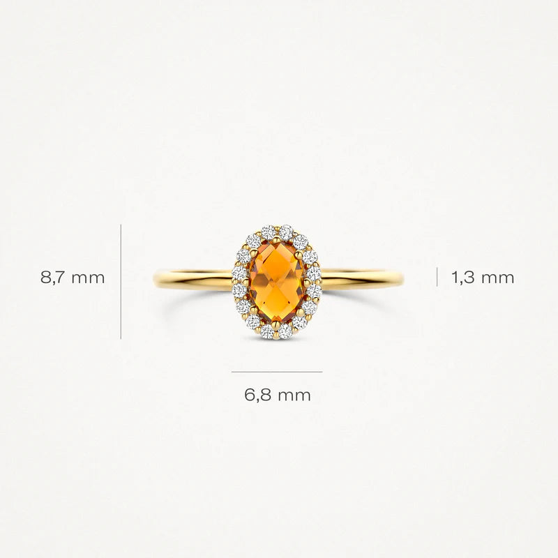 Blush Jewels 14 Karaat Gouden Ring 1271YCI