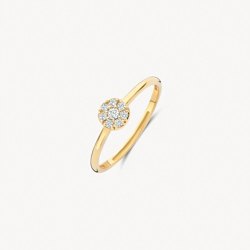 Blush Jewels 14 Karaat Gouden Ring 1277YZI