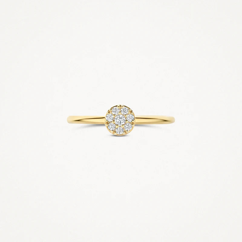 Blush Jewels 14 Karaat Gouden Ring 1277YZI