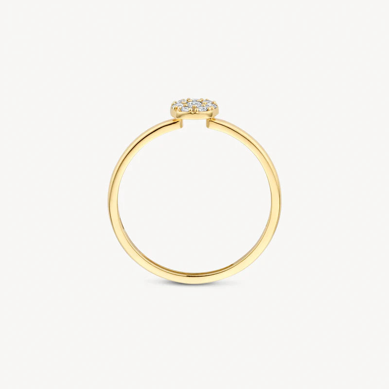 Blush Jewels 14 Karaat Gouden Ring 1277YZI