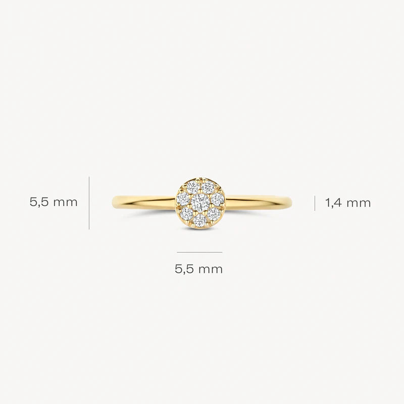 Blush Jewels 14 Karaat Gouden Ring 1277YZI