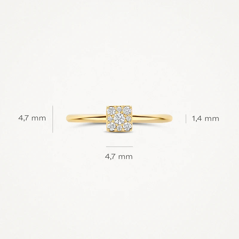 Blush Jewels 14 Karaat Gouden Ring 1278YZI