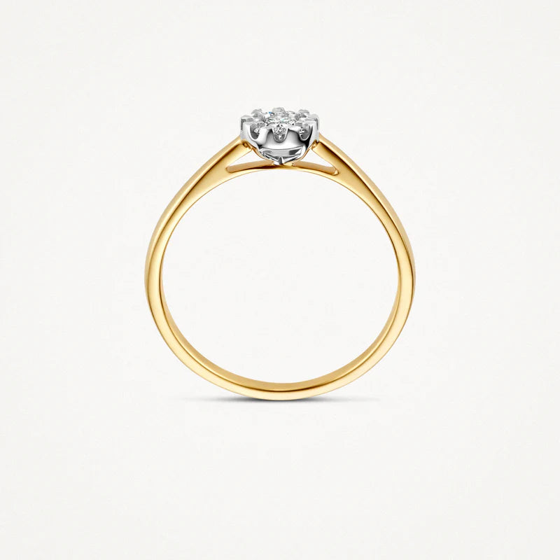 Blush Diamonds ring - 14K geel en wit goud met diamant 1677BDI