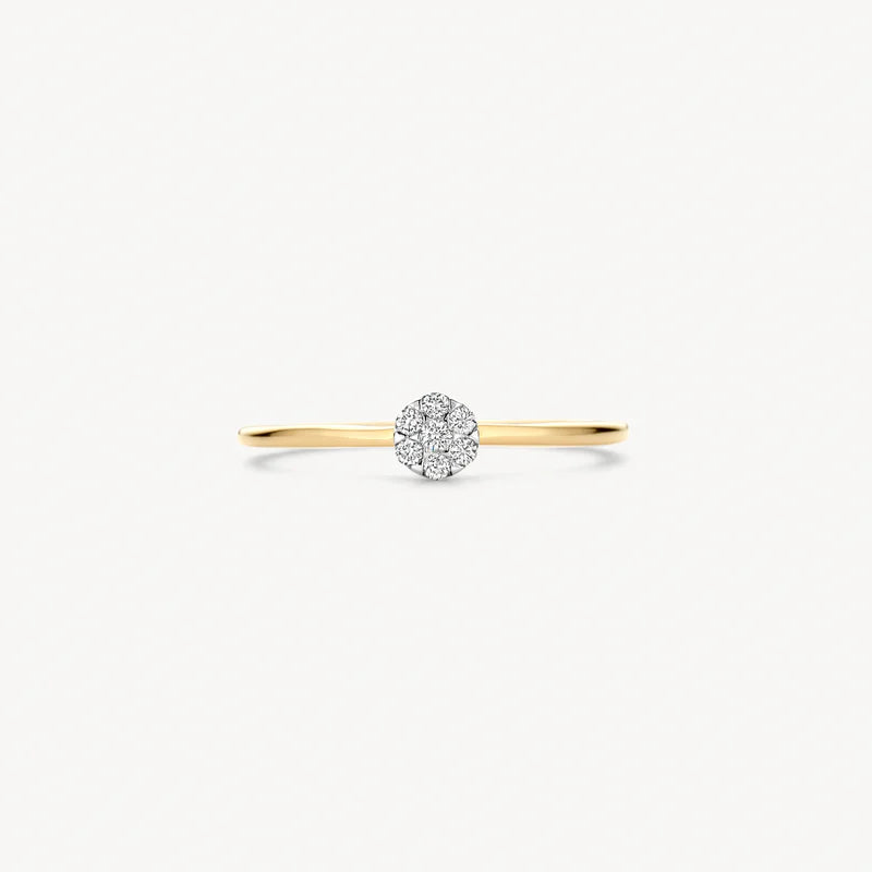 Blush Diamonds ring - 14K geel en wit goud met diamant 1680BDI