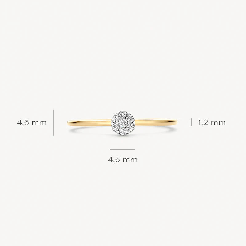 Blush Diamonds ring - 14K geel en wit goud met diamant 1680BDI