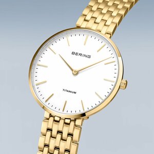 Bering Titanium Horloge 19334-334