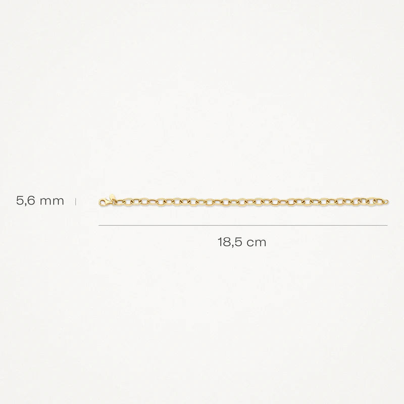 Blush Jewels 14 karaat geel gouden armband 2255YGO