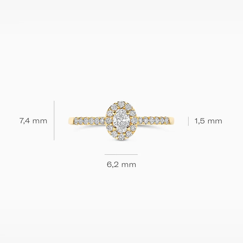 Blush Lab Diamonds ring 14K geel goud met lab diamant LG1045Y