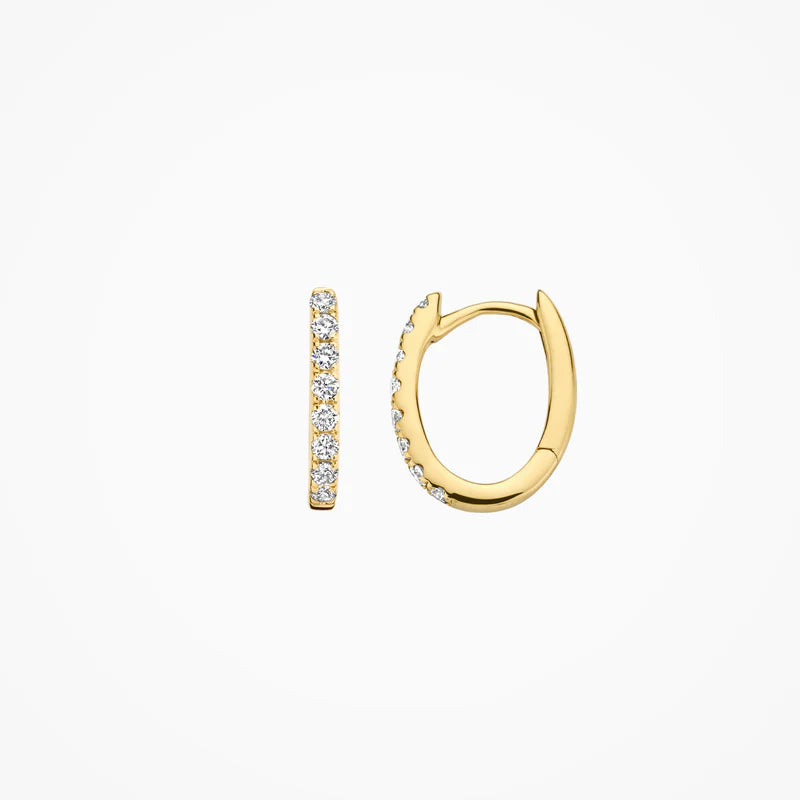 Blush Lab Diamonds creolen 14K geel goud met lab diamant LG7006Y