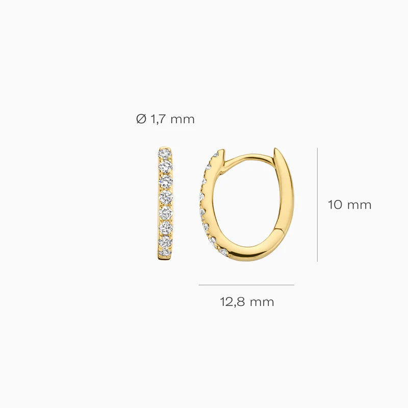 Blush Lab Diamonds creolen 14K geel goud met lab diamant LG7006Y