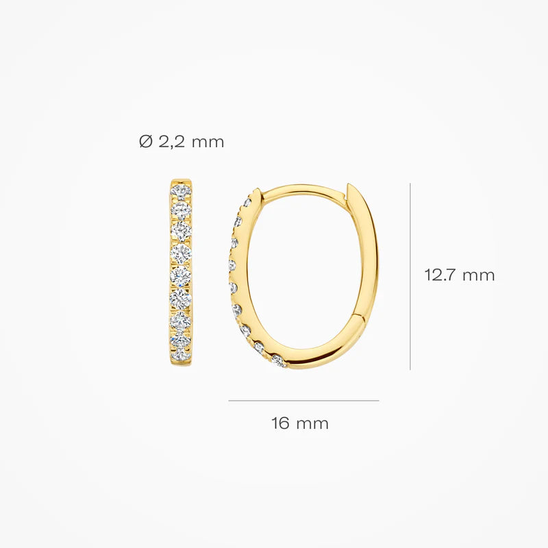 Blush Lab Diamonds creolen 14K geel goud met lab diamant LG7008Y