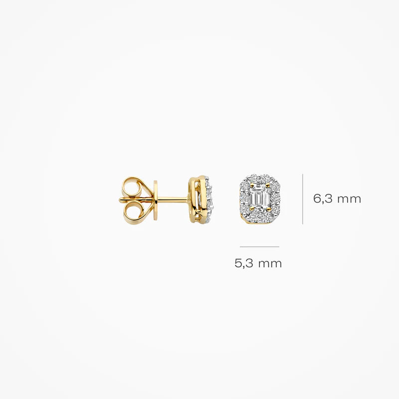 Blush Lab Diamonds oorstekers  14K geel goud met lab diamant LG7010Y