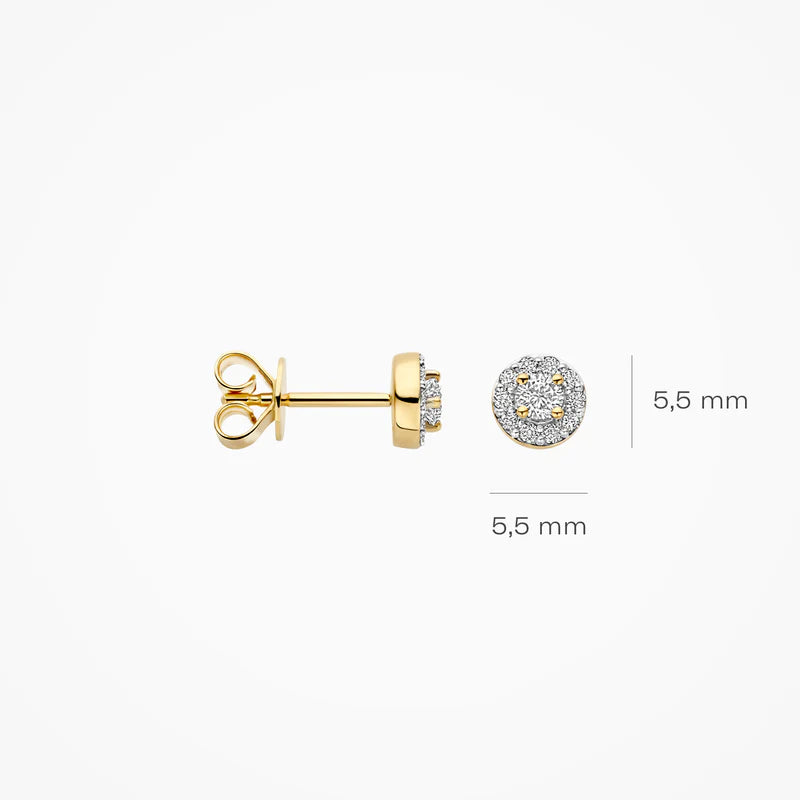 Blush Lab Diamonds oorstekers  14K geel goud met lab diamant LG7011Y