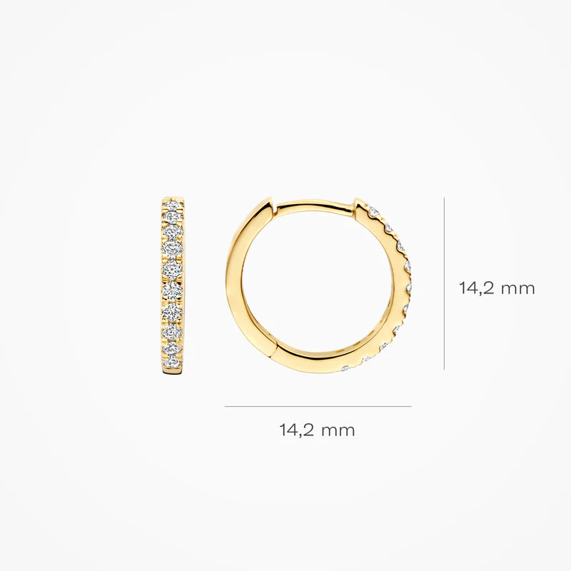 Blush Lab Diamonds creolen 14K geel goud met lab diamant LG7012Y