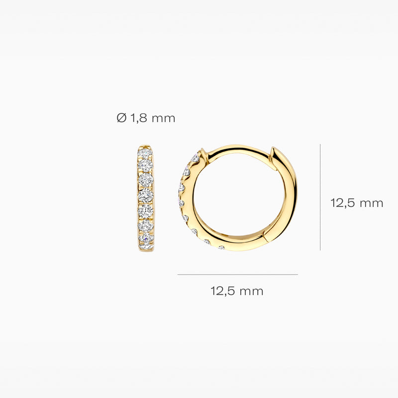 Blush Lab Diamonds oorringen 14K geel goud LG7029Y