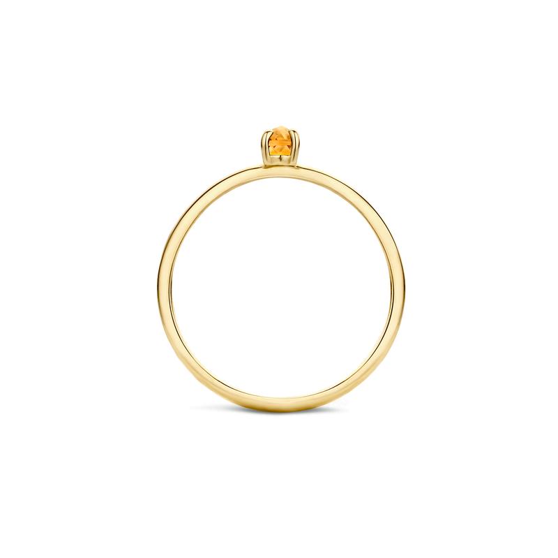 Blush Jewels 14 karaat geel gouden ring met citrine 1204YCI