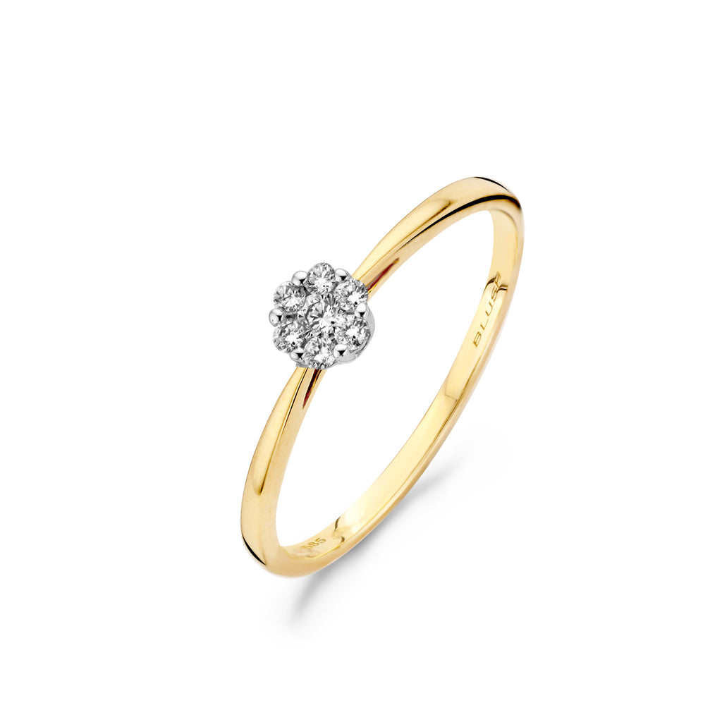 Blush Diamonds ring - 14K geel en wit goud met diamant 1610BDI