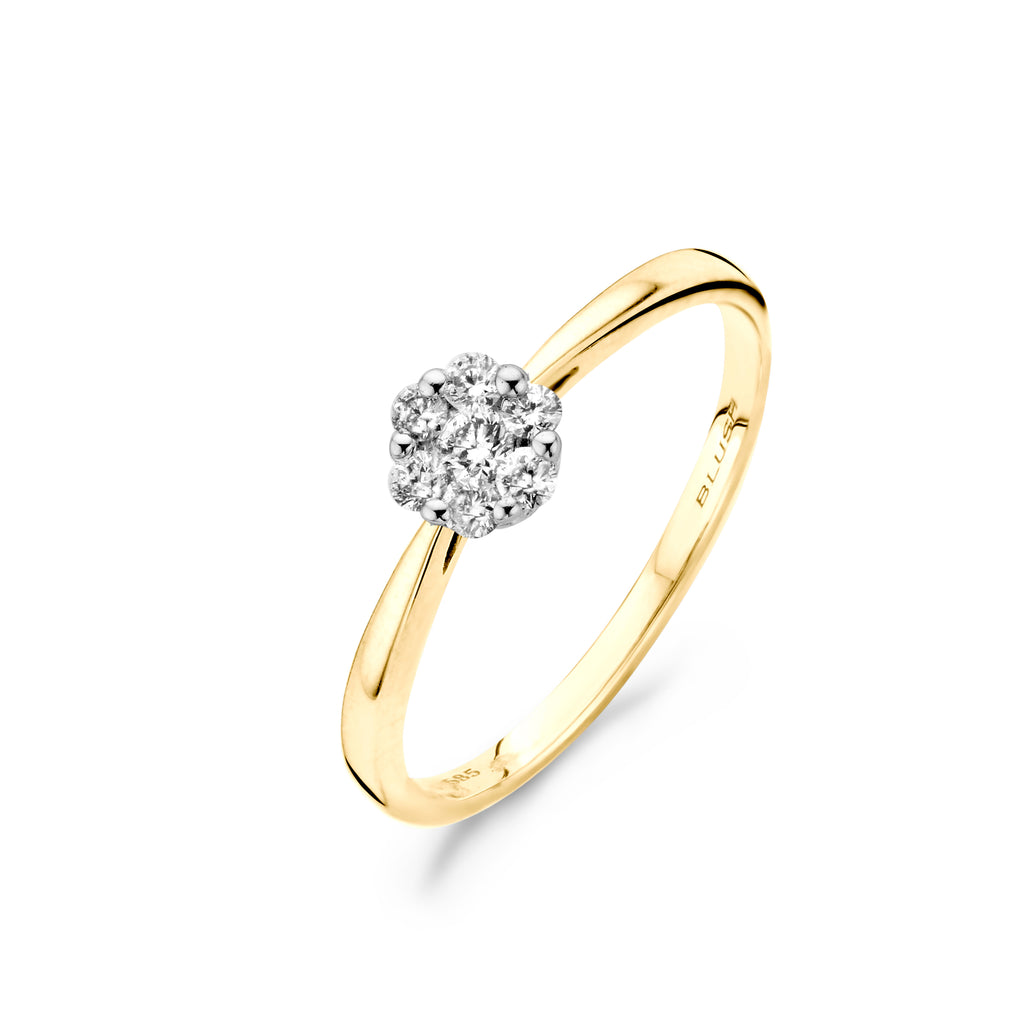 Blush Diamonds ring - 14K geel en wit goud met diamant 1612BDI
