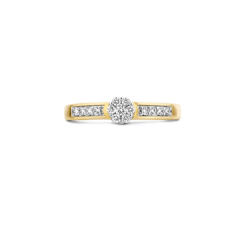 Blush Diamonds ring - 14K geel en wit goud met diamant 1624BDI