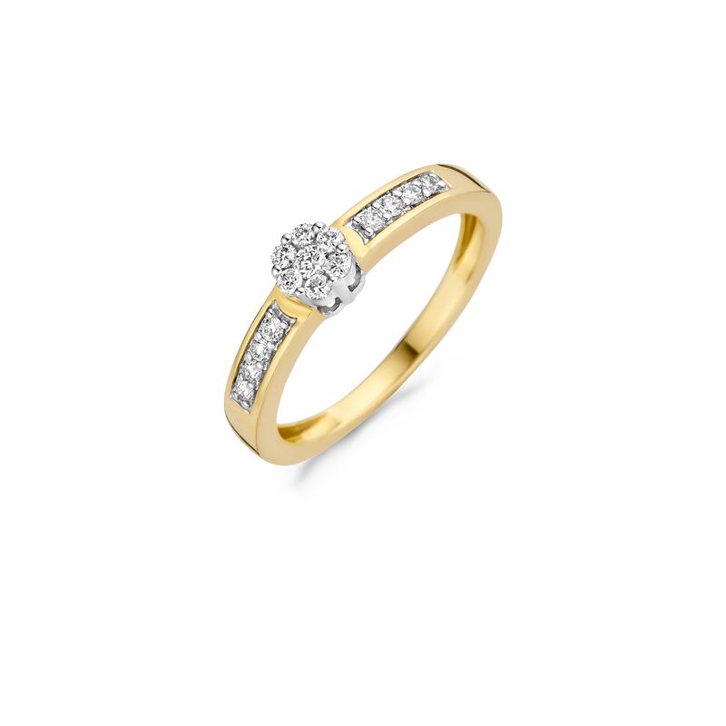 Blush Diamonds ring - 14K geel en wit goud met diamant 1624BDI