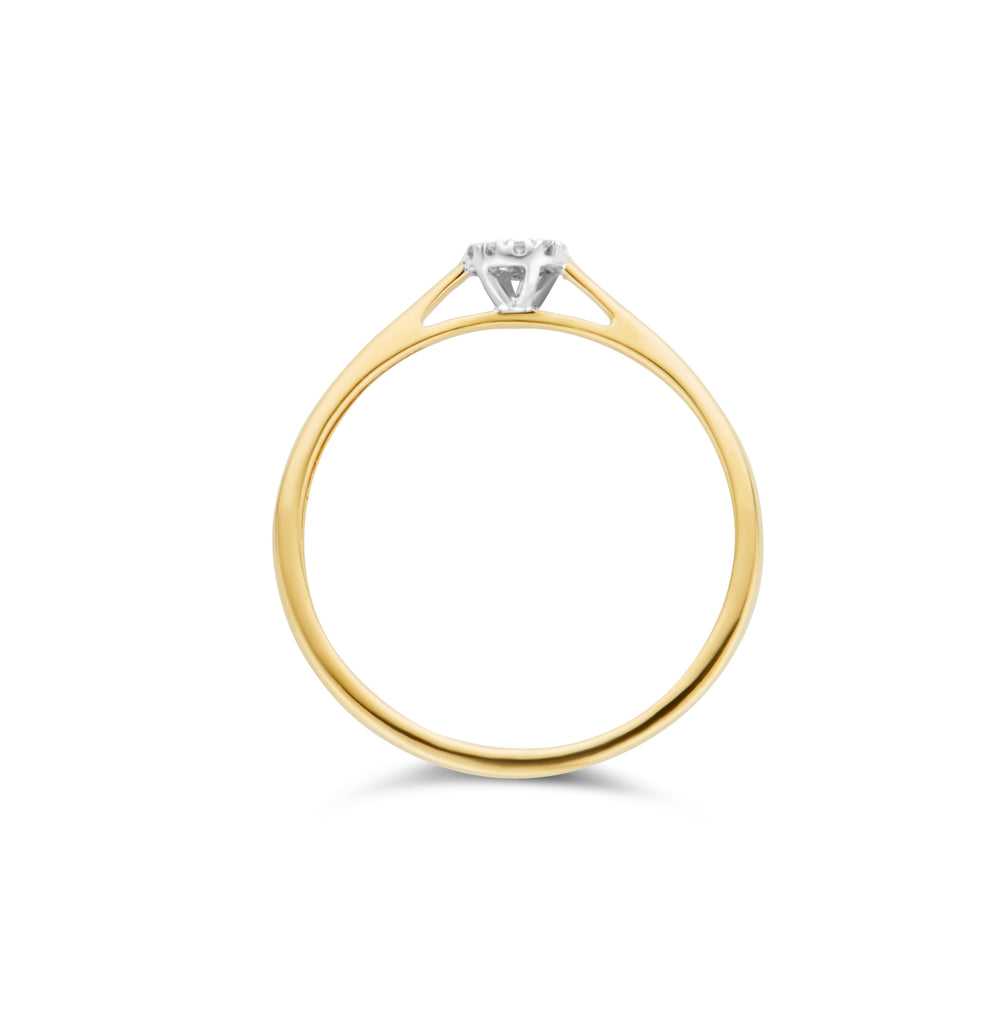 Blush Diamonds ring - 14K geel en wit goud met diamant 1646BDI