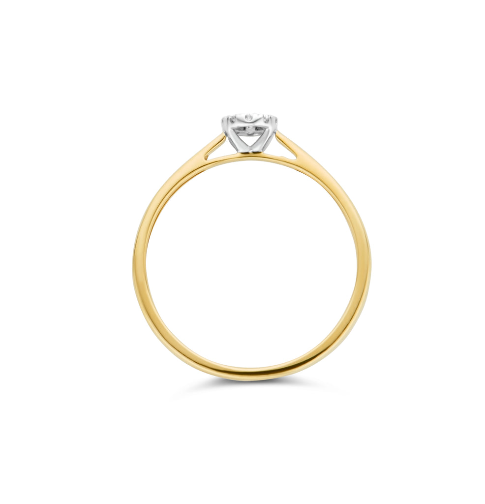 Blush Diamonds ring - 14K geel en wit goud met diamant 1647BDI