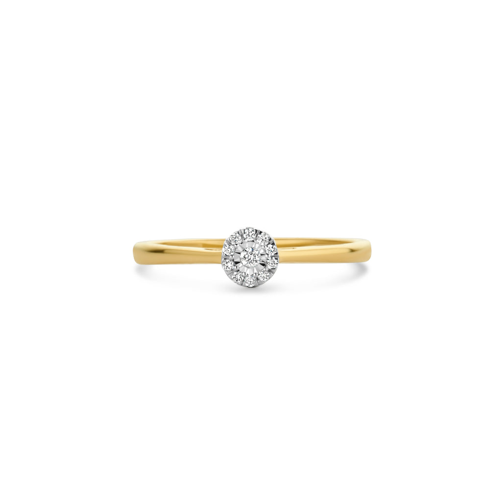 Blush Diamonds ring - 14K geel en wit goud met diamant 1647BDI