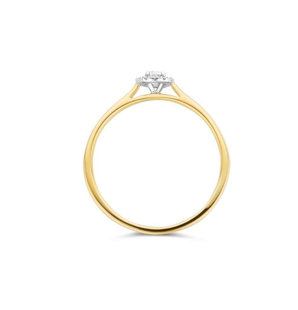 Blush Diamonds ring - 14K geel en wit goud met diamant 1648BDI