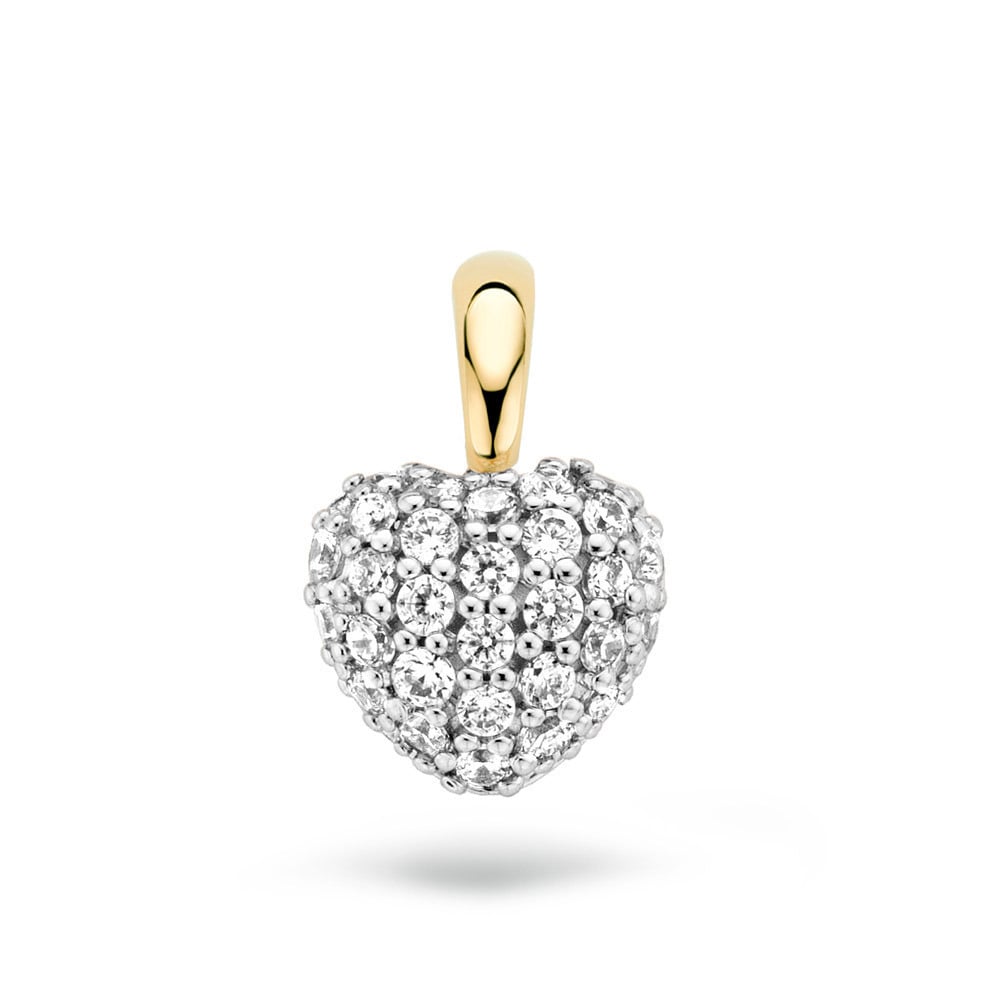 Blush Jewels 14 karaat bicolor gouden hart hanger 6068BZI