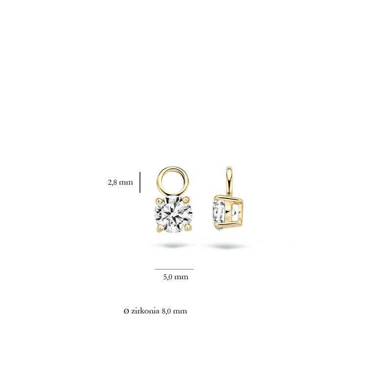 Blush Jewels 14 karaat geel gouden oorbedels 9045YZI