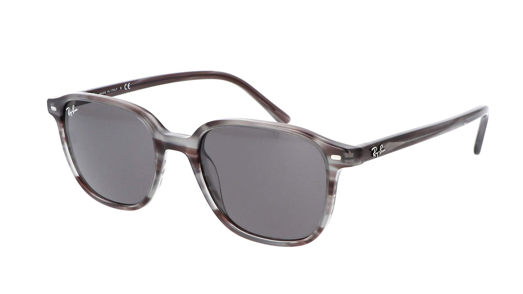 Ray Ban zonnebril Leonard RB2193 1314/B1